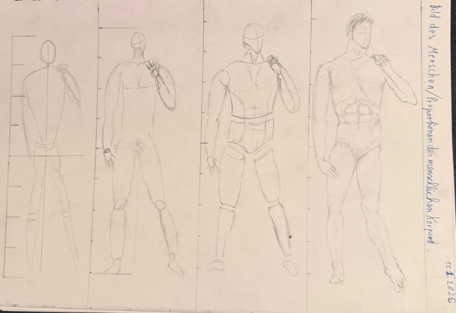 Proportionen des menschlichen Körpers